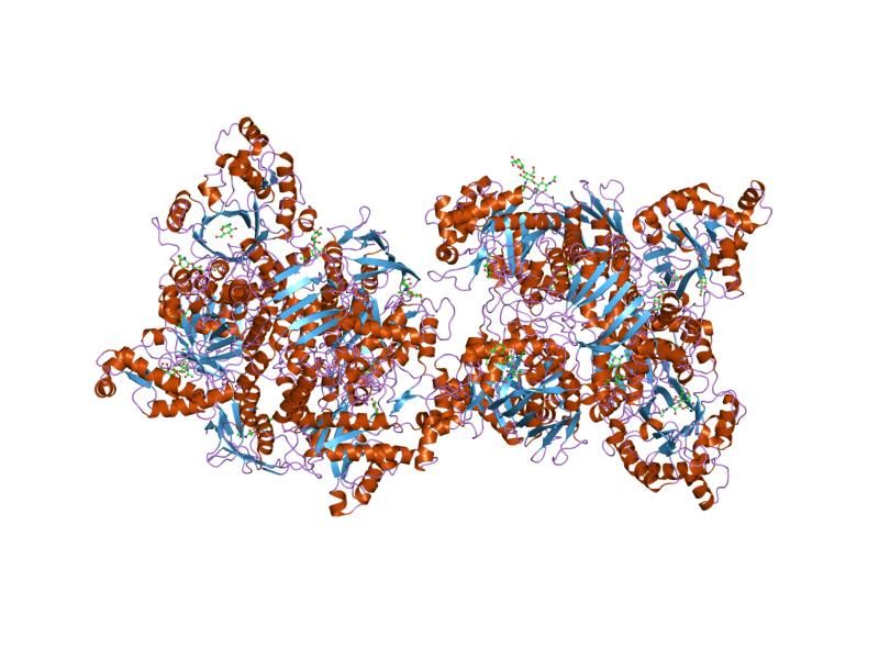 File:PDB 2gk1 EBI.jpg