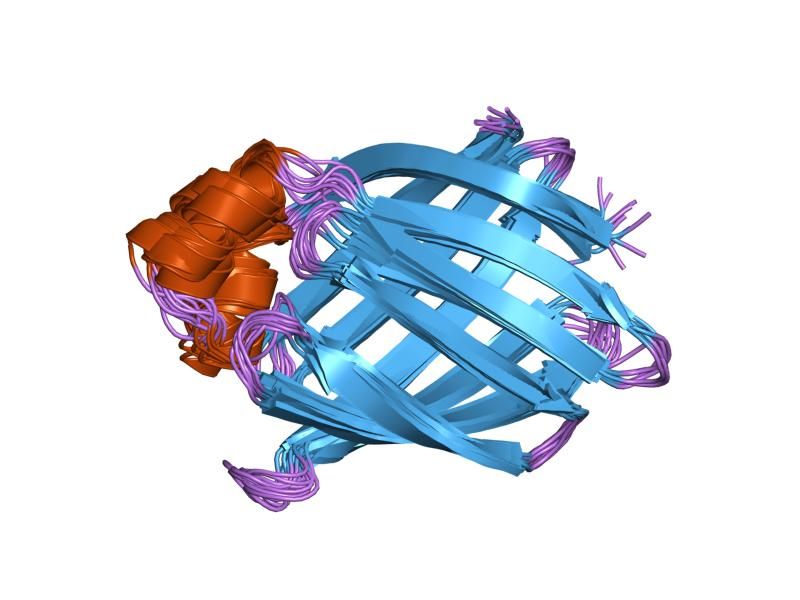 File:PDB 3ifb EBI.jpg