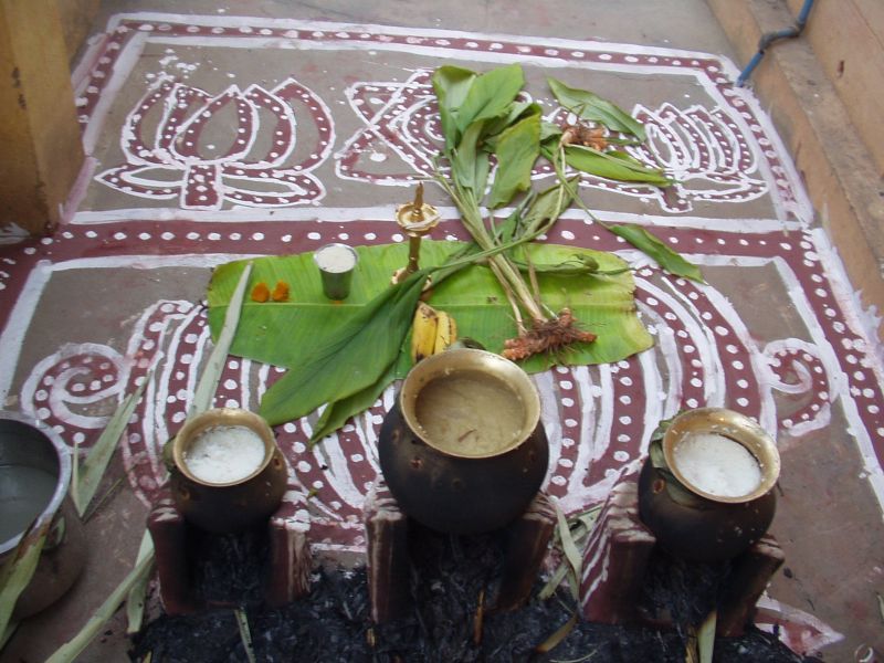 File:Preparation of Pongal.jpg