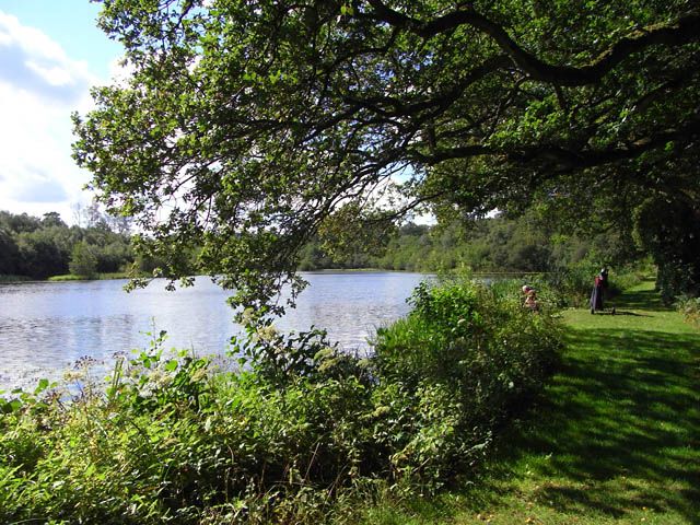 File:Duns Mere, Highclere (geograph 2122569).jpg