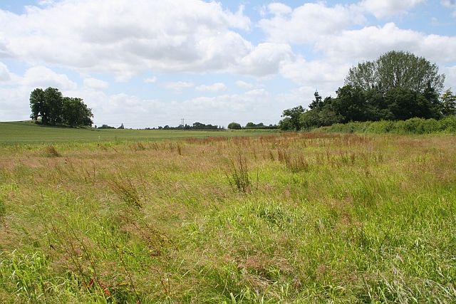 File:Marginal land - geograph.org.uk - 865195.jpg