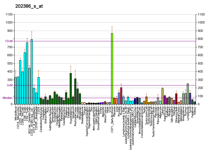 File:PBB GE KIAA0430 202386 s at fs.png