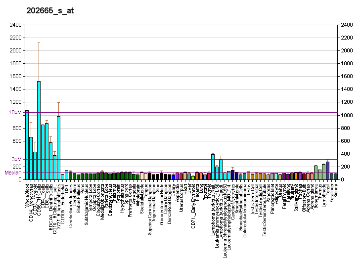 File:PBB GE WIPF1 202665 s at fs.png