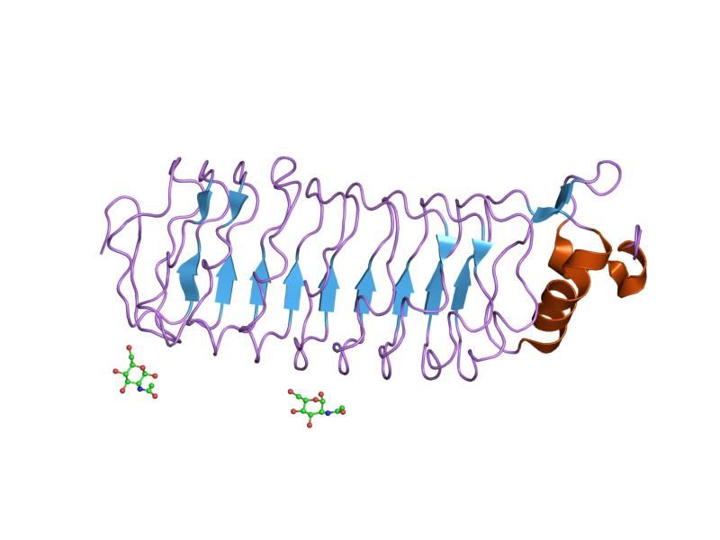 File:PDB 1p8t EBI.jpg