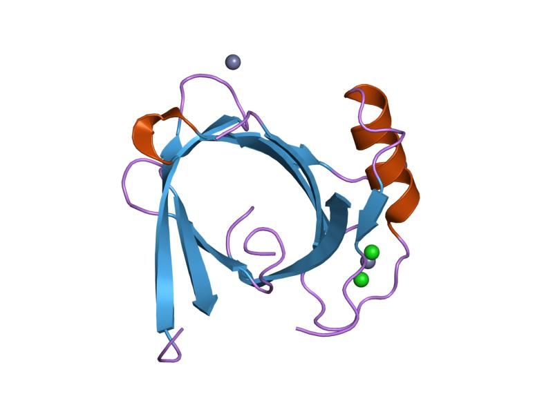 File:PDB 1xki EBI.jpg