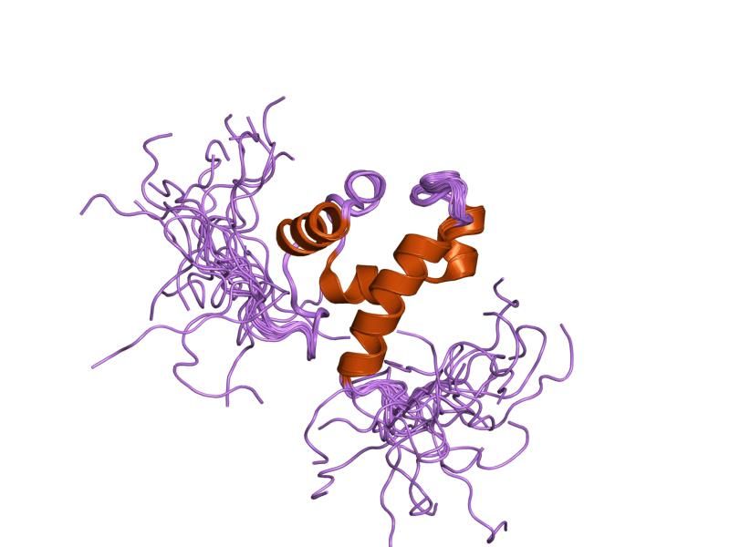 File:PDB 2d8c EBI.jpg