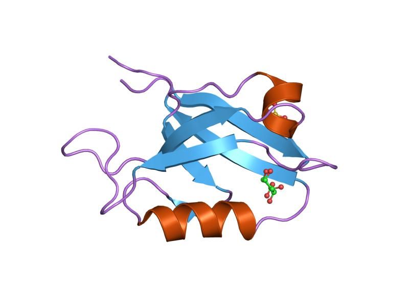 File:PDB 2fe5 EBI.jpg