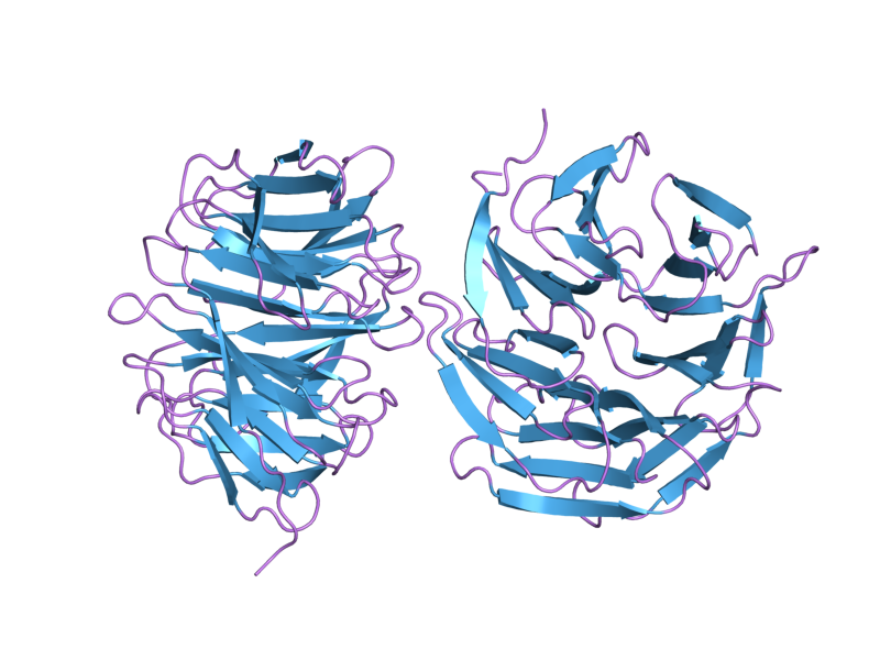 File:PDB 2h68 EBI.png