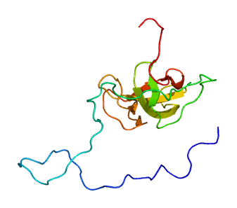 File:Protein CLIP1 PDB 2cp5.png