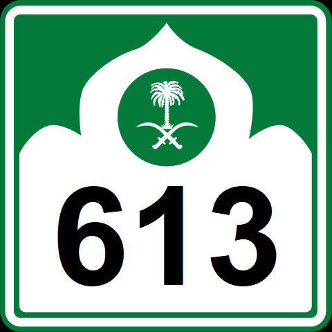 File:Saudi City 613.png