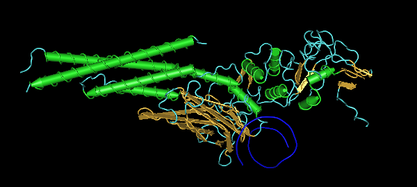 File:Stat3 structure.png