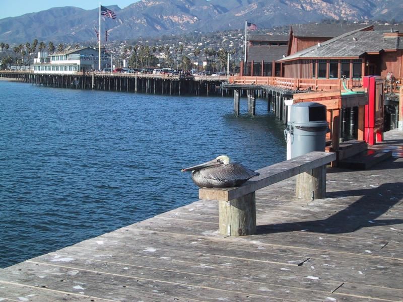 File:Stearns Wharf.jpg