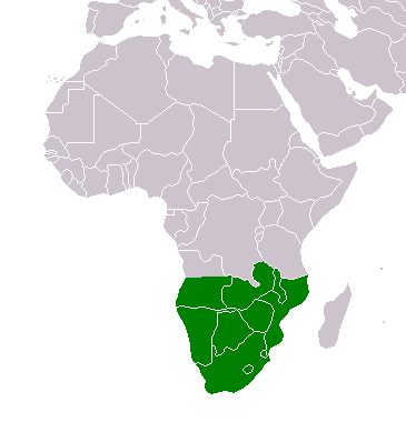 File:Acacia-karroo-range-map.png