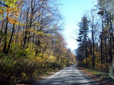 File:FR 112 approaching Spruce Knob, West Virginia.jpg