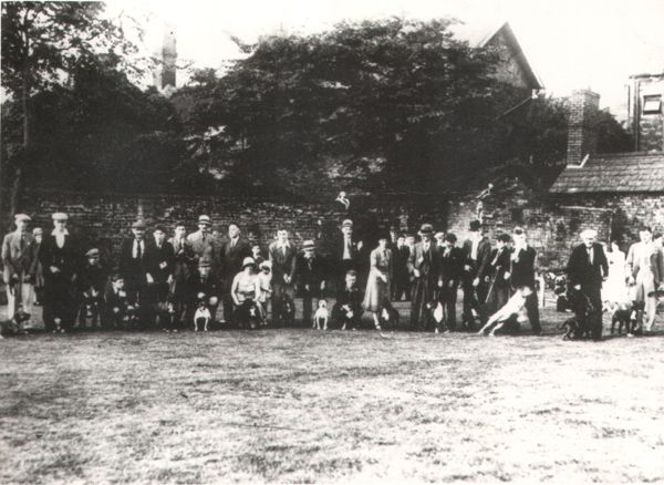 File:First Staffordshire Bull Terrier show, 1935.jpg