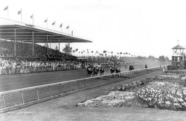 File:Horse Racing at Hialeah Park (8357982024).jpg