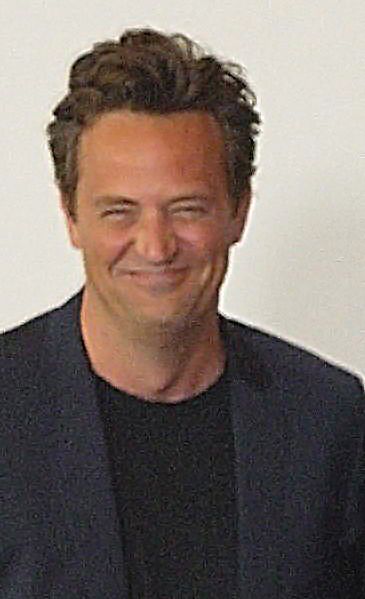 File:Matthew Perry 2010.jpg