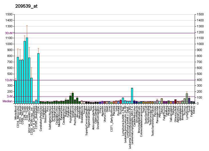 File:PBB GE ARHGEF6 209539 at fs.png