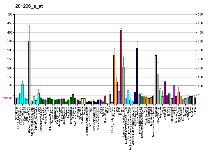 File:PBB GE RRBP1 201206 s at fs.png