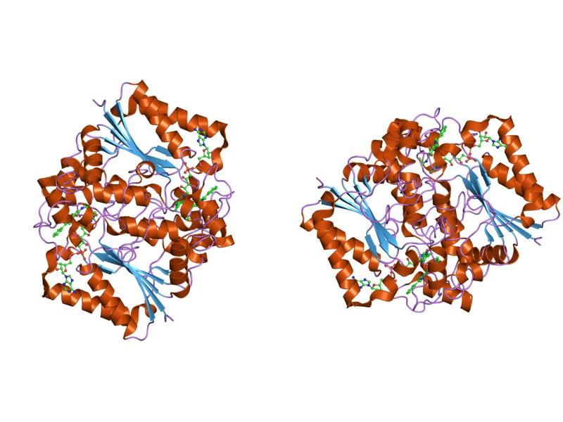 File:PDB 1h69 EBI.jpg