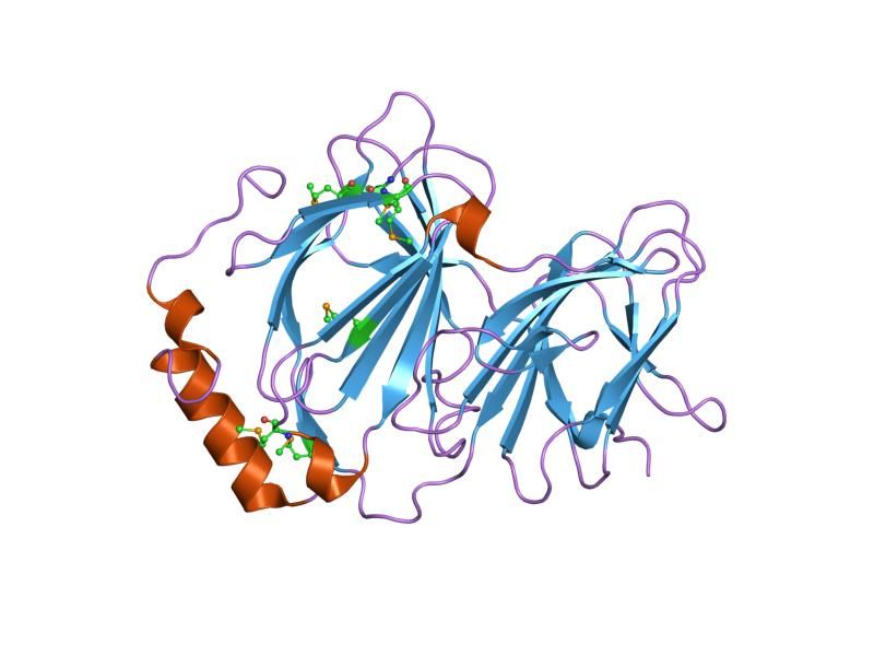 File:PDB 1j1l EBI.jpg