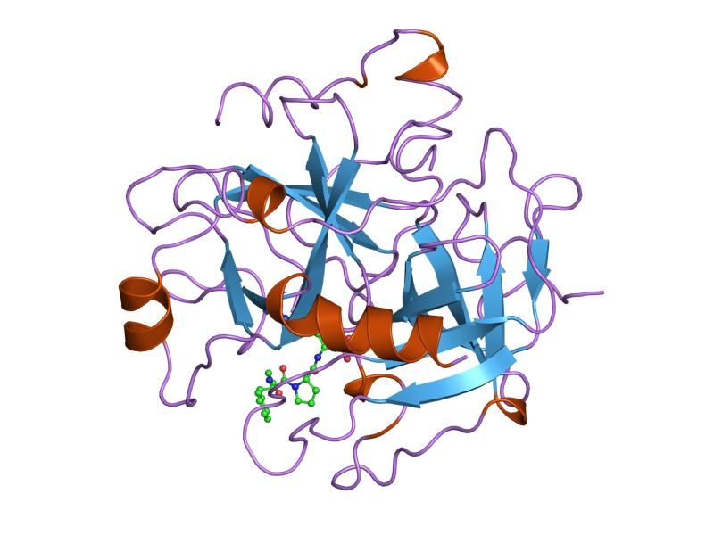 File:PDB 1lhc EBI.jpg