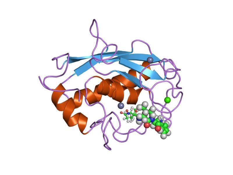 File:PDB 1umt EBI.jpg