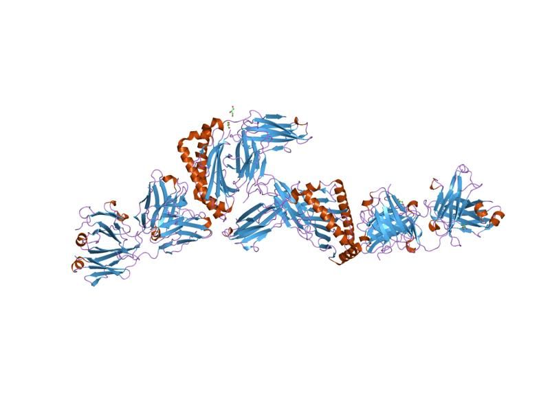 File:PDB 1w72 EBI.jpg