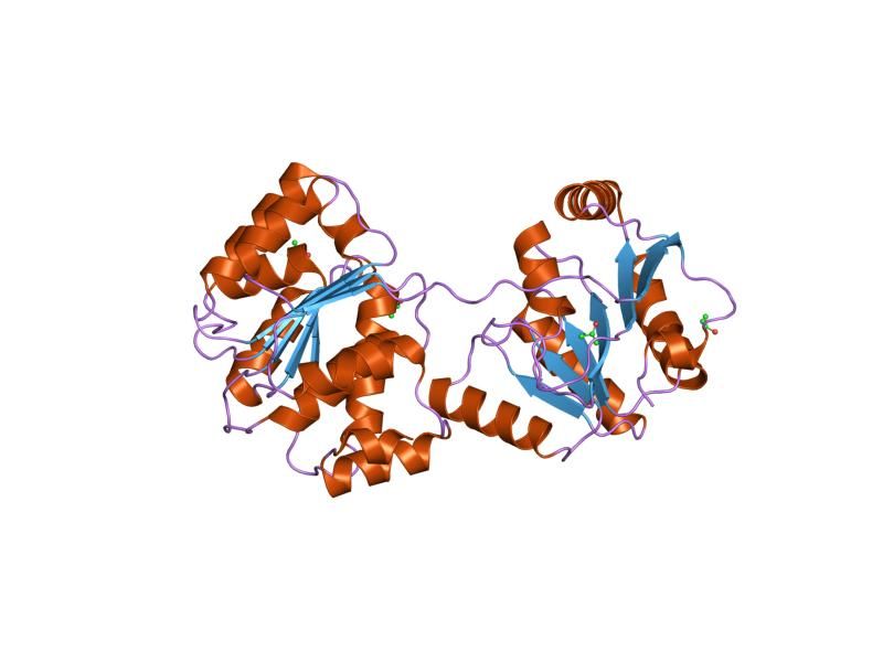 File:PDB 1xti EBI.jpg