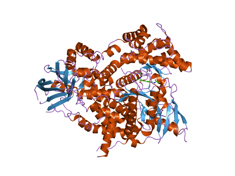 File:PDB 2chz EBI.png