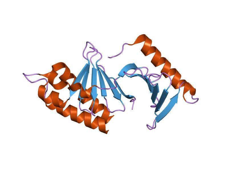 File:PDB 2ogq EBI.jpg