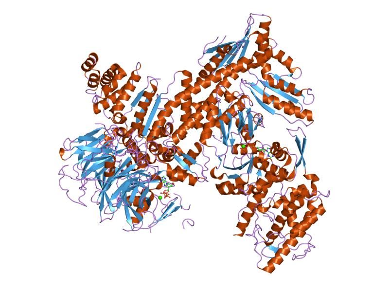 File:PDB 2p9k EBI.jpg