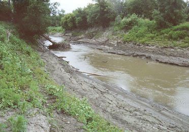 File:Pembina River ND.jpg