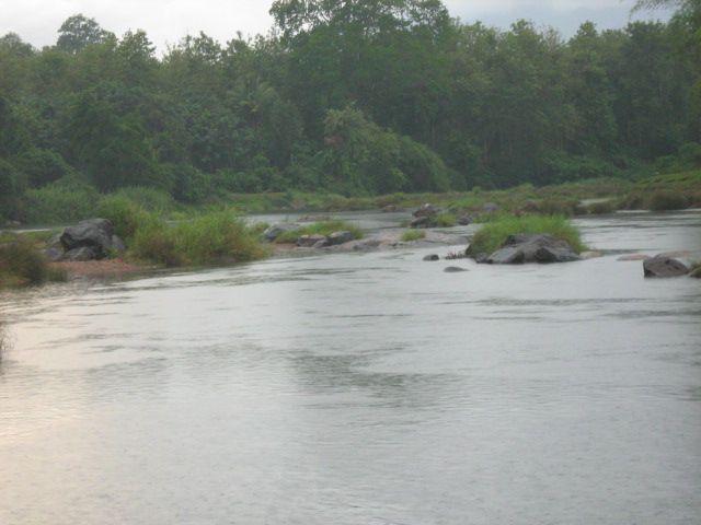 File:Punnapuzha.jpg