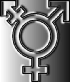 File:Racey knight 2008 transgender symbol msn chrome.jpg