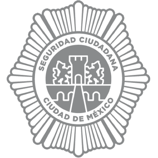 File:Ssccdmx.png