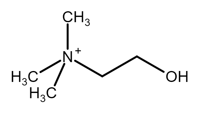 File:Choline cation.png