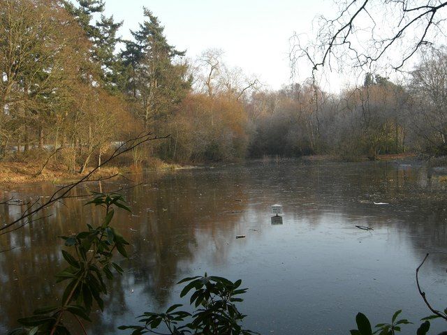 File:Dry pond - geograph.org.uk - 637409.jpg