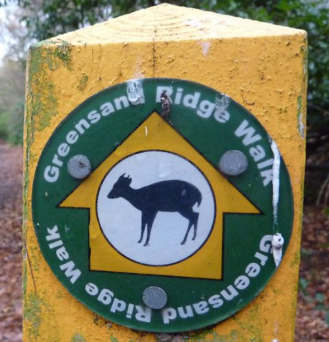 File:Greensand Ridge Walk Waymarker.jpg