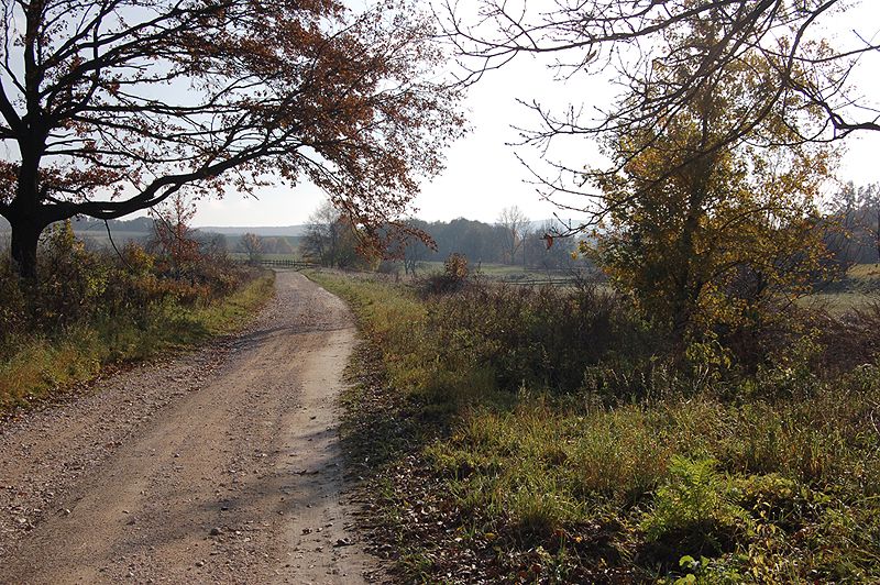 File:High Bakony Park near Porva 0001.JPG