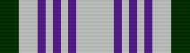 File:IGR JROTC Commendation Ribbon.jpg