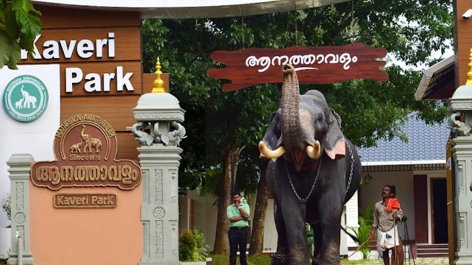 File:Kaveri elephant park.png