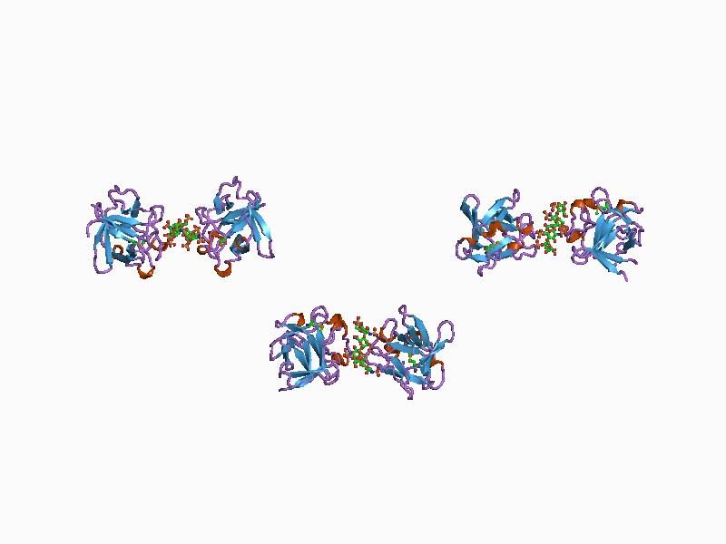 File:PDB 1axm EBI.jpg