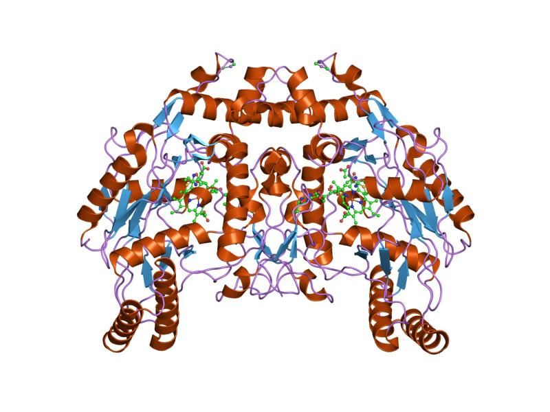 File:PDB 1dmi EBI.jpg