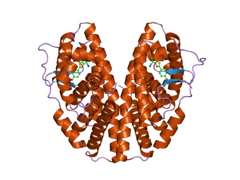 File:PDB 1x76 EBI.jpg