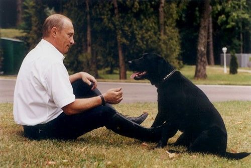 File:Vladimir Putin and Koni-4.jpg