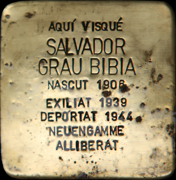 File:02 Sanaüja - SALVADOR GRAU BIBIÀ.png