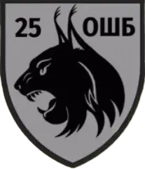 File:25th Separate Assault Battalion.png