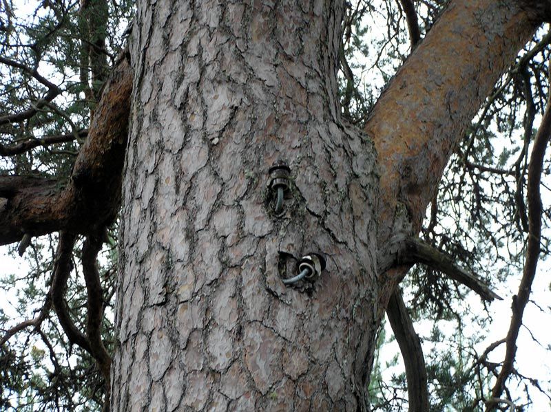 File:Canadiancampsite isolators.jpg