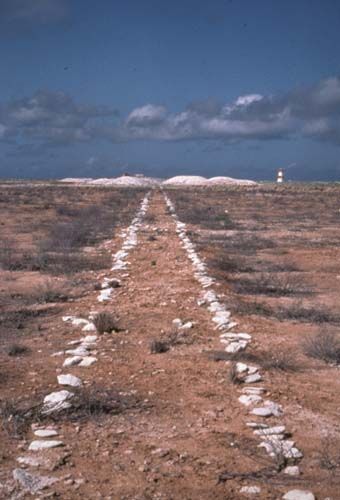 File:Jarvis Island Guano Tramway.jpg